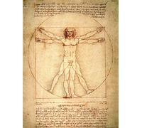 1art1 Leonardo Da Vinci Póster El Hombre De Vitruvio, 1490 Aprox. Póster Impresión Artística 80x60 cm