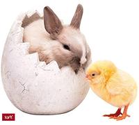 1art1 Pascua Bunny In Egg and Little Chick Pegatina para Pared 32x27 cm