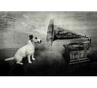 1art1 Perros Póster His Master's Voice, Jack Russell Terrier Póster Impresión Artística 120x80 cm