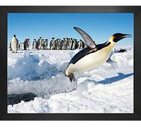 1art1 Pingüinos Póster Impresión Artística con Marco (Madera DM) - Alegría, Un Salto De Felicidad (50 x 40cm)