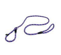 1CM Dog Whisperer Cesar Millan Style Slip Training Strap Nylon Rope Lead Collar (azul)