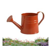 1L Metal Plant Watering - Can Long Spout - Gardening Tool for Flower Pots, Bonsai, and Indoor Plants, Perfect for Home Decor, Garden, Yard, Lawn, Patio, Pathway, Outdoor Landscaping and Easy Watering