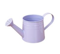 1L Retro Metal Painted Watering Can with Long Spout & Handle Flower Plant