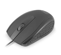 1Life Raton m:Source