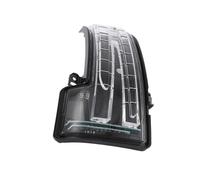 1Pair Rearview Mirror Lamp LED Turn Signal Light for GLS ML X164 W164 W166 A1668200121 A1668200221