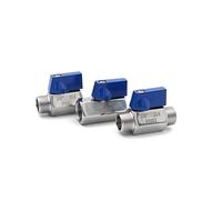 1pc 1/8" BSP Female x Female Ball Valve SS304 Stainless Steel Blue Handle