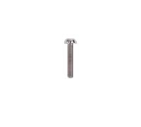 1pc perno de titanio M3 M4 M5 M6 x 5 6 8 9 10 12 14 15 16 18 20 25 30 35mm tornillo interno de ciruela for accesorios de bicicleta(Titanium,M6 x 25mm)