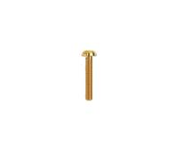 1pc perno de titanio M3 M4 M5 M6 x 5 6 8 9 10 12 14 15 16 18 20 25 30 35mm tornillo interno de ciruela for accesorios de bicicleta(Gold,M6 x 25mm)