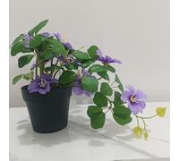 1pc Planta en con flor de colgante , de , estilo Ins Nórdico natural, para escritorio interior del hogar, repisa de ventana, baño, oficina de dormitorio, fotografía y más decoración de