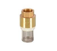 1PCS 1" BSPP Female Brass Check Valve Non-return With Steel Strainer Filter For Water Plumbing Pump