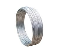 1PCS Longitud de 10M Alambre de resorte de acero inoxidable Cuerda de alambre duro Solo alambre duro completo Primavera de alambre de acero Diámetro 0.2-3MM (2MM)