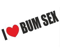 1st-Class-Designs Pegatina para parachoques con texto en inglés "I Love Bum Sex Funny Bum", para coche, furgoneta, bicicleta, diseño de P & P