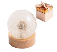 1st Heaven Pisapapeles de resina de diente de león, bola de deseos de diente de león, decoración única para el hogar y la oficina, símbolo de suerte y aprecio, un regalo pensado y recuerdo para