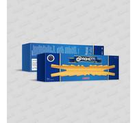 1st Single 'SPAGHETTI'( WEIRD GARLIC)