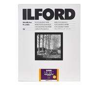 1x 10 Ilford MG RC DL 1M 24x30 Marca Ilford