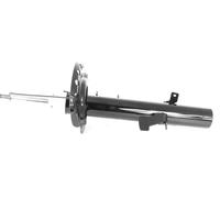 1x Amortiguador de Gas Delantero Izquierdo para Land Rover Freelander II (Fa )