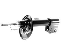 1x Amortiguador de Gas Frontal Derecho para Citroen C4 II (B7 ), Peugeot 5008