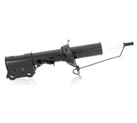 1x Amortiguador de Gas Frontal Derecho para Kia Picanto (Ba) Ab Año Fab. 2004-