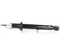 1x Amortiguador de Gas Frontal Derecho para Lexus Is II GSE2 ALE2 USE2 Año 2005-