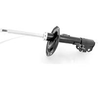 1x Amortiguador de Gas Frontal Derecho para Toyota Camry ACV40 Año 2006- Lexus