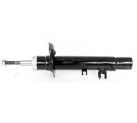 1x Amortiguador Presión Delantero Izquierdo para Citroën C2, C3 Desde Año Fab.