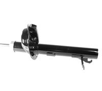 1x Amortiguador Presión Delantero Izquierdo para Ford Focus I & Clipper DAF,Fbw