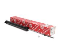 1x Amortiguador Trasero para FIAT BRAVO II, STILO; LANCIA DELTA III