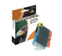 1x Cartucho de impresión Cyan Compatible con Canon PIXMA CLI-8 MP500 MP520x MP530 MP600R MP610 MP800R MP810 MP830 MX700 MX850 iP4200x iP4300 iP4500x iP5200R iP5300 iP6600D iP6700D iX5000 iX4000