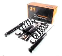 1x de Gas Kit Completo de Suspensión Trasero Derecho+Izquierdo GH-331905S04