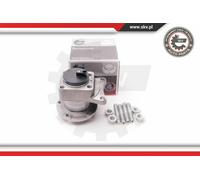 1X ESEN SKV Juego Cojinete Rueda Doble Lateral Trasero Para Citroën Jumpy