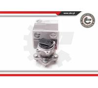 ESEN SKV 2x Eje de Rueda Juego Cojinetes Trasero para Nissan Qashqai + 2 I Note