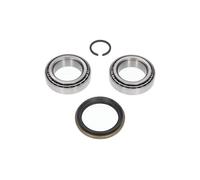 1x KAVO PARTS Juego Rodamiento Rueda Eje Delantero para Hyundai Terracan HP