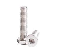2/5/10/20/50 Uds M3 M4 M5 M6 M8 M10 acero inoxidable 304 tornillo hexagonal de cabeza delgada baja(18mm,M10(2pcs))