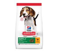 Hill's Puppy