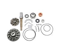 DT Spare Parts 2.91519 Kit de reparación, bomba de agua