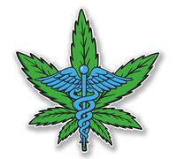 2 adhesivos de vinilo de cannabis de 10 cm para laptop, marihuana medicinal #6663 (10 cm x 10 cm)