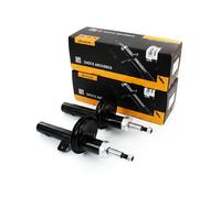 2 Amortiguador Presión de Aceite Delant. R+L para Peugeot 206 , 206CC, 206SW Ab