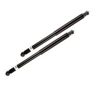 BILSTEIN 19-020006 Amortiguador