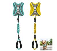 2 Arnés para perros pequeños con correa Step In Arnés, antitirones reflectantes, transpirables, arnés ajustable para cachorros, arnés para mascotas para perros pequeños, color amarillo y verde, 1-3 kg