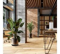 2 bandejas redondas de plástico para macetas de interior, recogedor de drenaje de polipropileno, resistente a los rayos UV y al desgaste, se adapta a 4/6/7/8/10 pulgadas (15.2 cm)