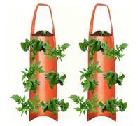 2 bolsas de cultivo colgantes para fresas y tomates con múltiples bolsillos de plantación, material de tela, diseño que ahorra espacio, adecuado para jardines pequeños (F)