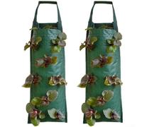 2 bolsas de cultivo colgantes para fresas y tomates con múltiples bolsillos de plantación, material de tela, diseño que ahorra espacio, adecuado para jardines pequeños (C)