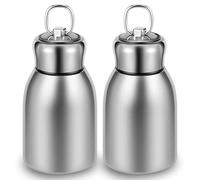 2 botellas de 300 ml de acero inoxidable sin bisfenol A, sellado fuerte para alimentos, leche, café, gachas de avena, plata con asa, termo para deporte, escuela, excursión, camping