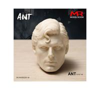 (2) Cabeza esculpida sin pintar, 1/6, Brad Pitt, Tom Cruis, Arnold, Paul Walker, Ronaldo, Bruce Willis, soldado