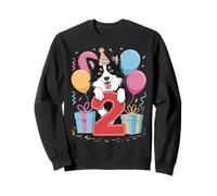 2º cumpleaños niño niña 2 años dos Border Collie Sudadera
