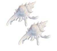 2 elegantes pinzas para el pelo de caracola con diseño acrílico, accesorios cómodos para ocasiones femeninas