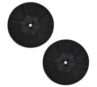 2 Filtros de Activado para Campana Extractora 233x30mm y 173x24mm Recambios Universales Plástico Desechables Eliminación de Cocina 2 Unidades(173mm)
