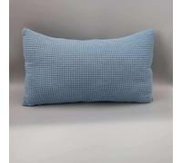 2 Fundas De Cojín 50x70,para Sofá,Fundas Cojines 40x70/60x80 con Cremallera Pana Suave Modernas Funda De Almohada Cojines Decoracion para Sofa Hogar Pillow Covers ( Color : Sky blue , Size : 40x60 cm