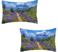 2 Fundas para Cojines 50 x 70 cm Campos Funda Cojín Almohada Funda de Almohada del Decorativos Tela de Terciopelo Sofa y Cama Cushion Covers Cremallera Oculta Jardín Exterior Verano Sendero I0P-168