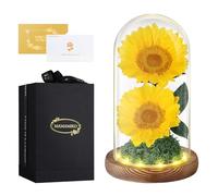 2 Girasoles Reales Eternos en Cúpula de Cristal, Flores Preservadas por 5 Años, Regalos Florales para Ella, Mujer, Esposa, Novia en Cumpleaños, Aniversario, San Valentín, Día de la Madre, Navidad